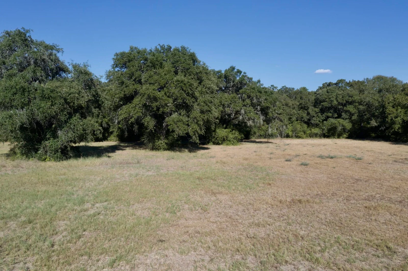 Property photo 48