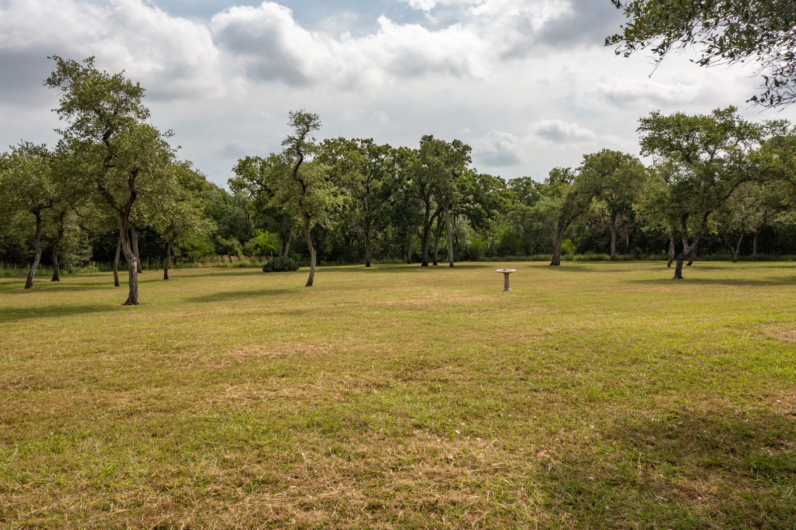 Property photo 42