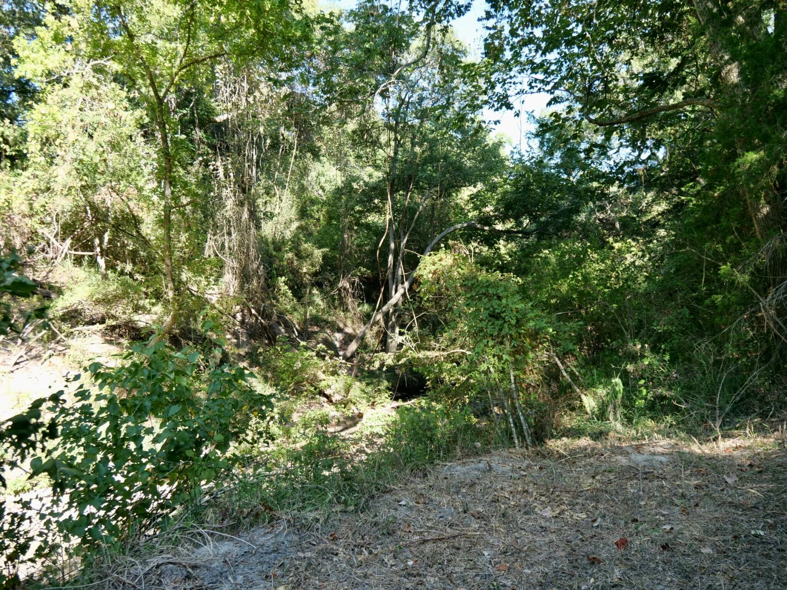 Property photo 45