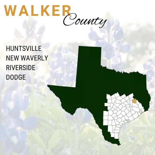 Walker County Cities