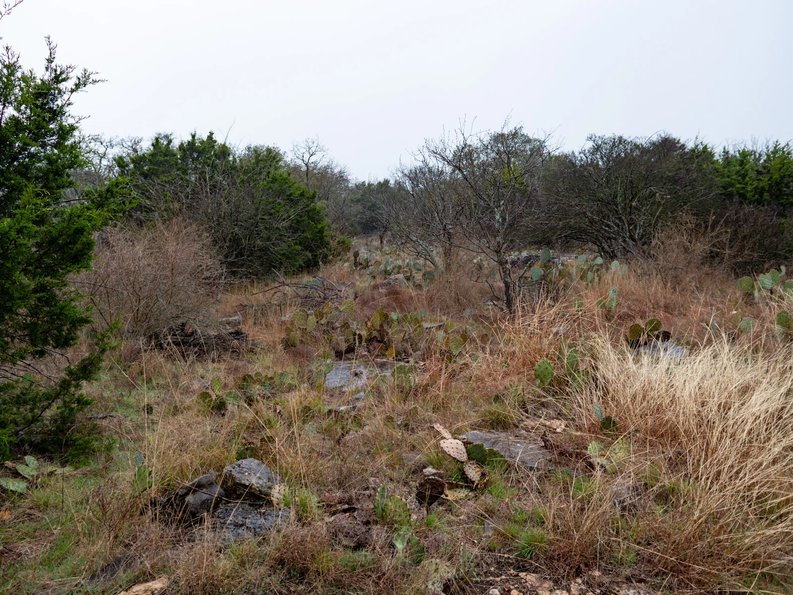 Property photo 28