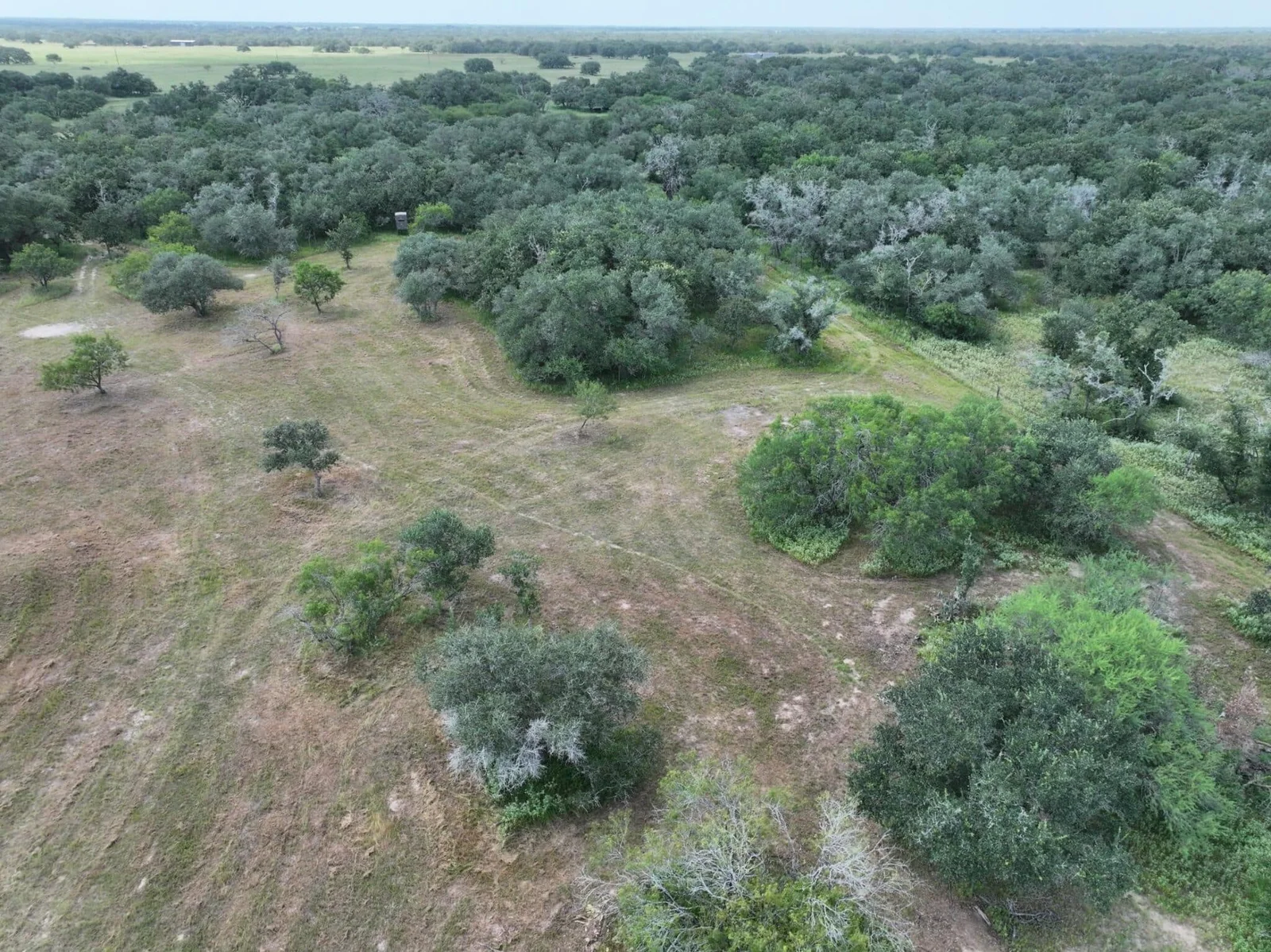 Property photo 21