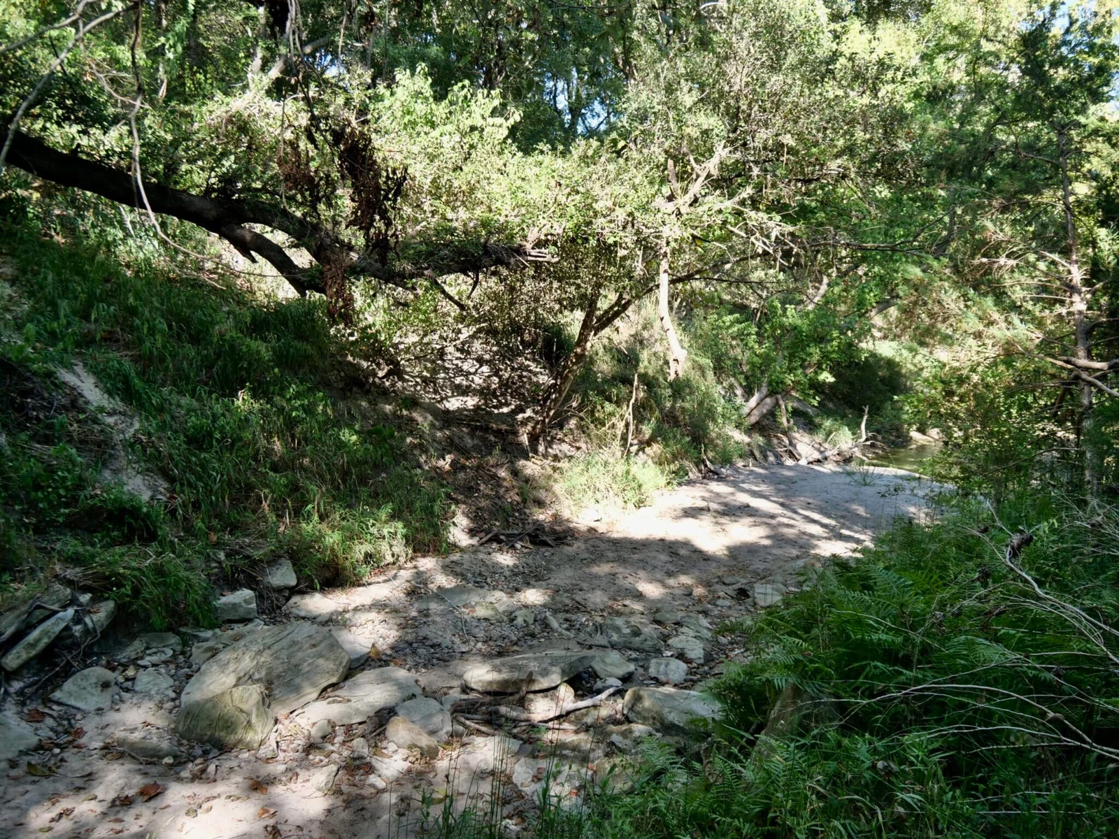 Property photo 43