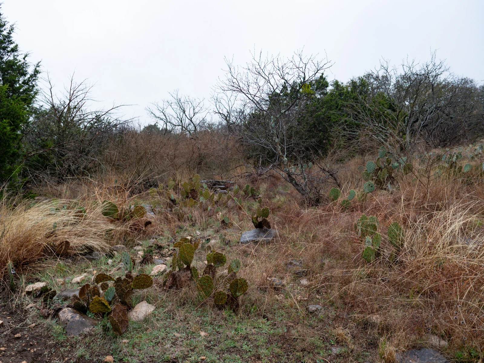 Property photo 27