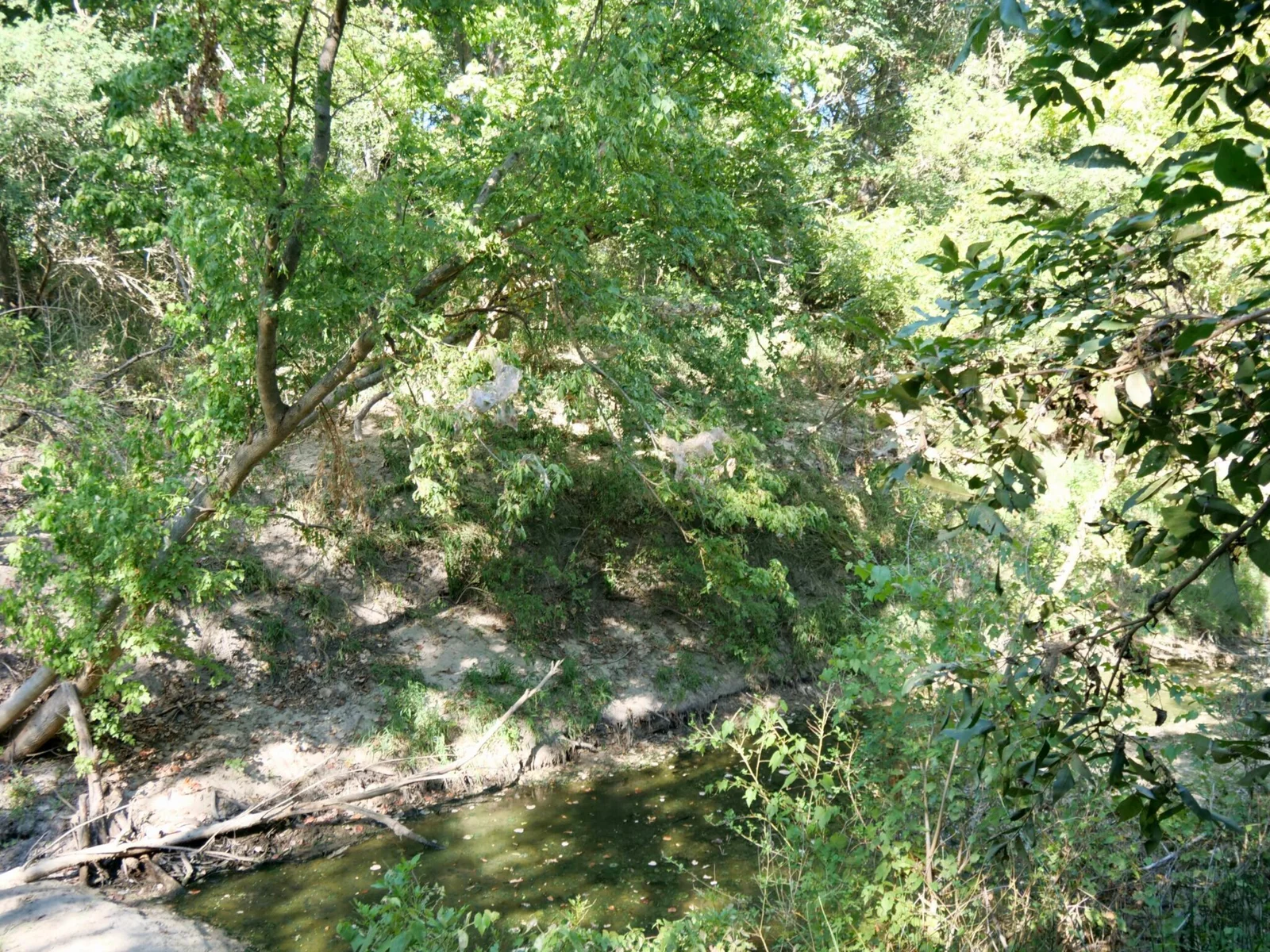 Property photo 44