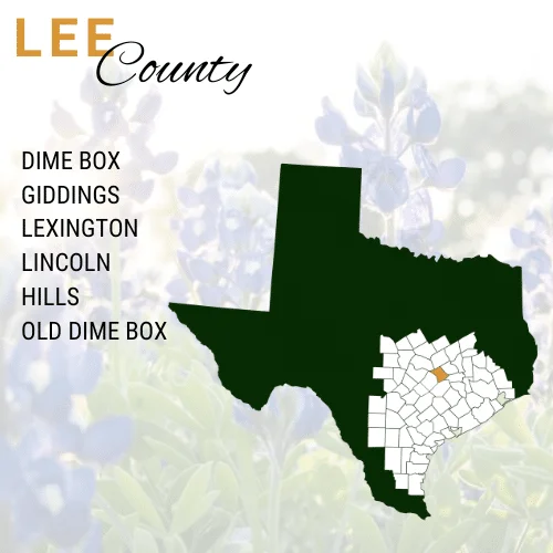 Lee County Cities