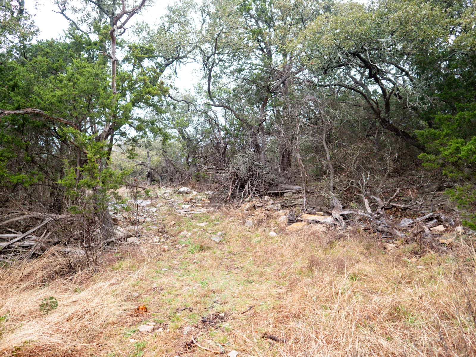 Property photo 37
