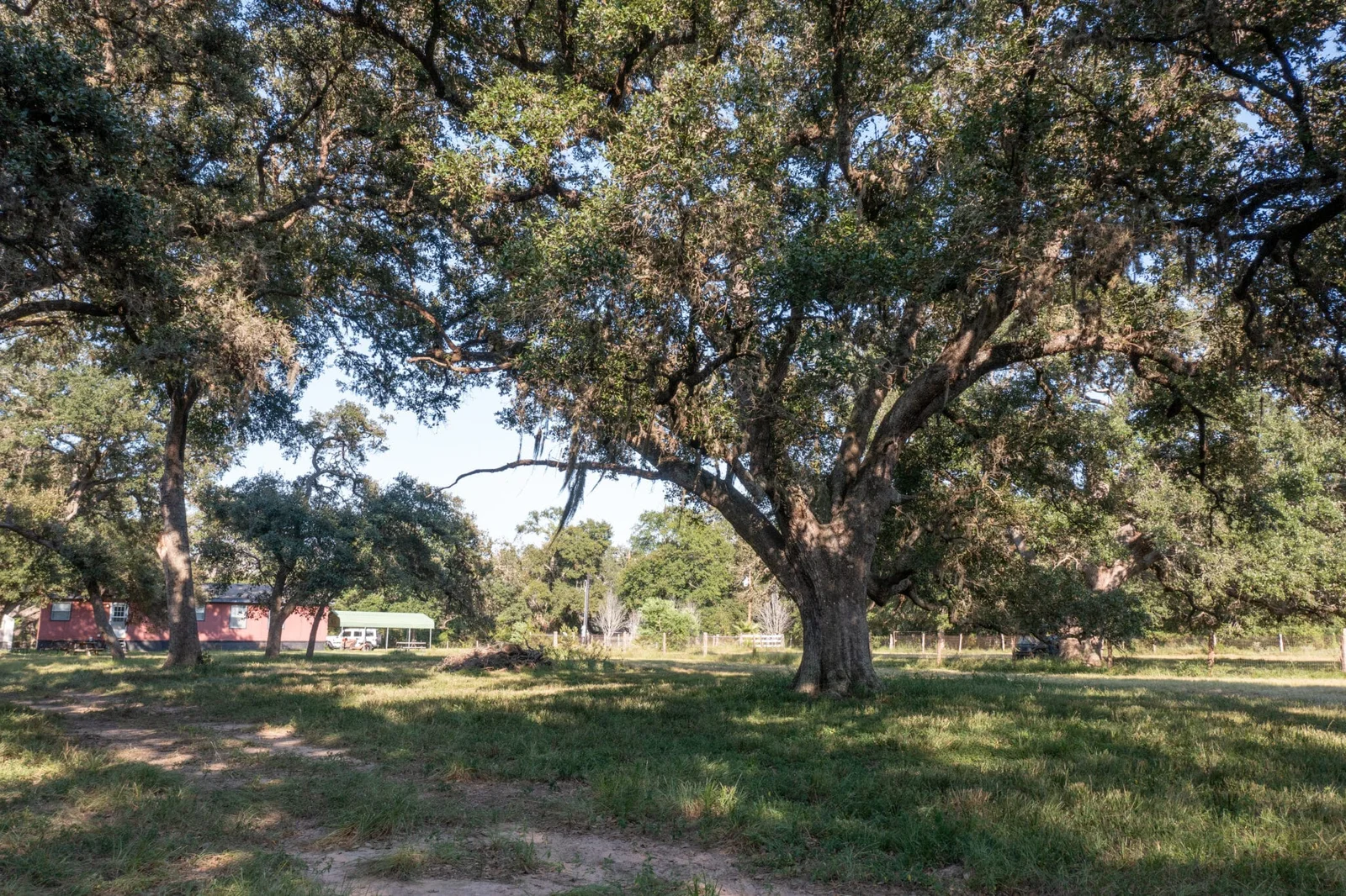 Property photo 18