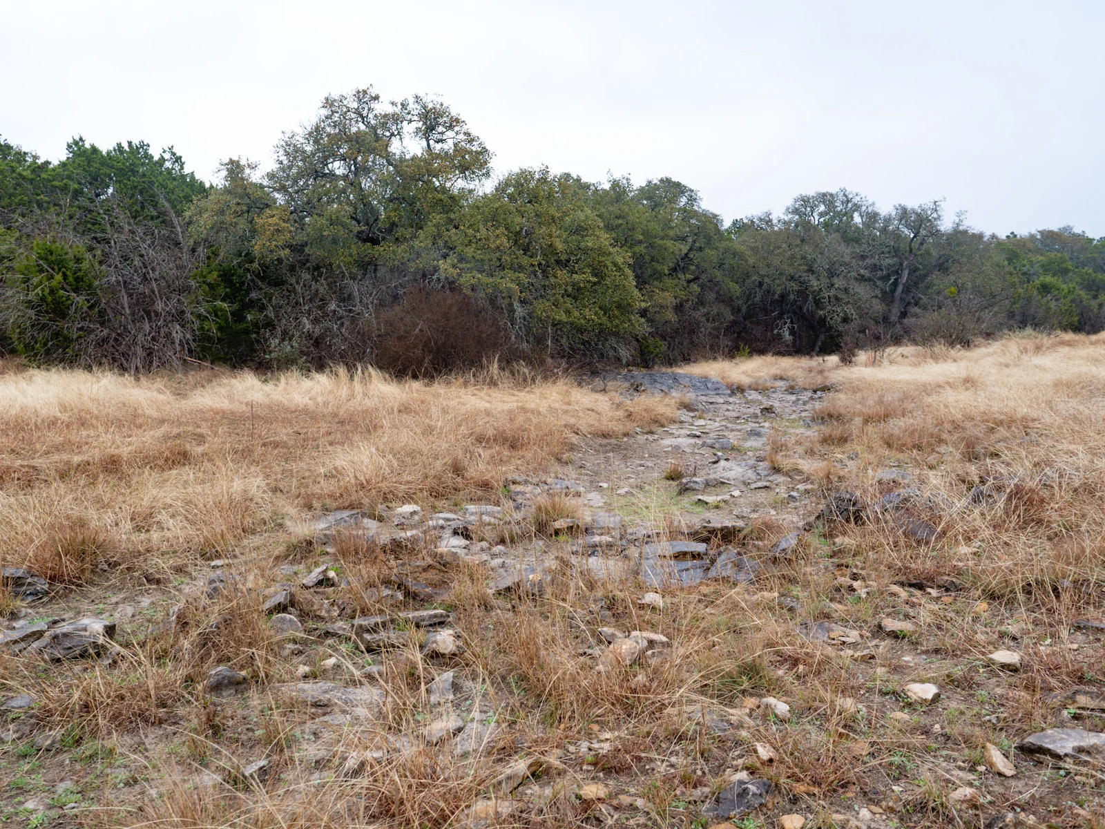 Property photo 45