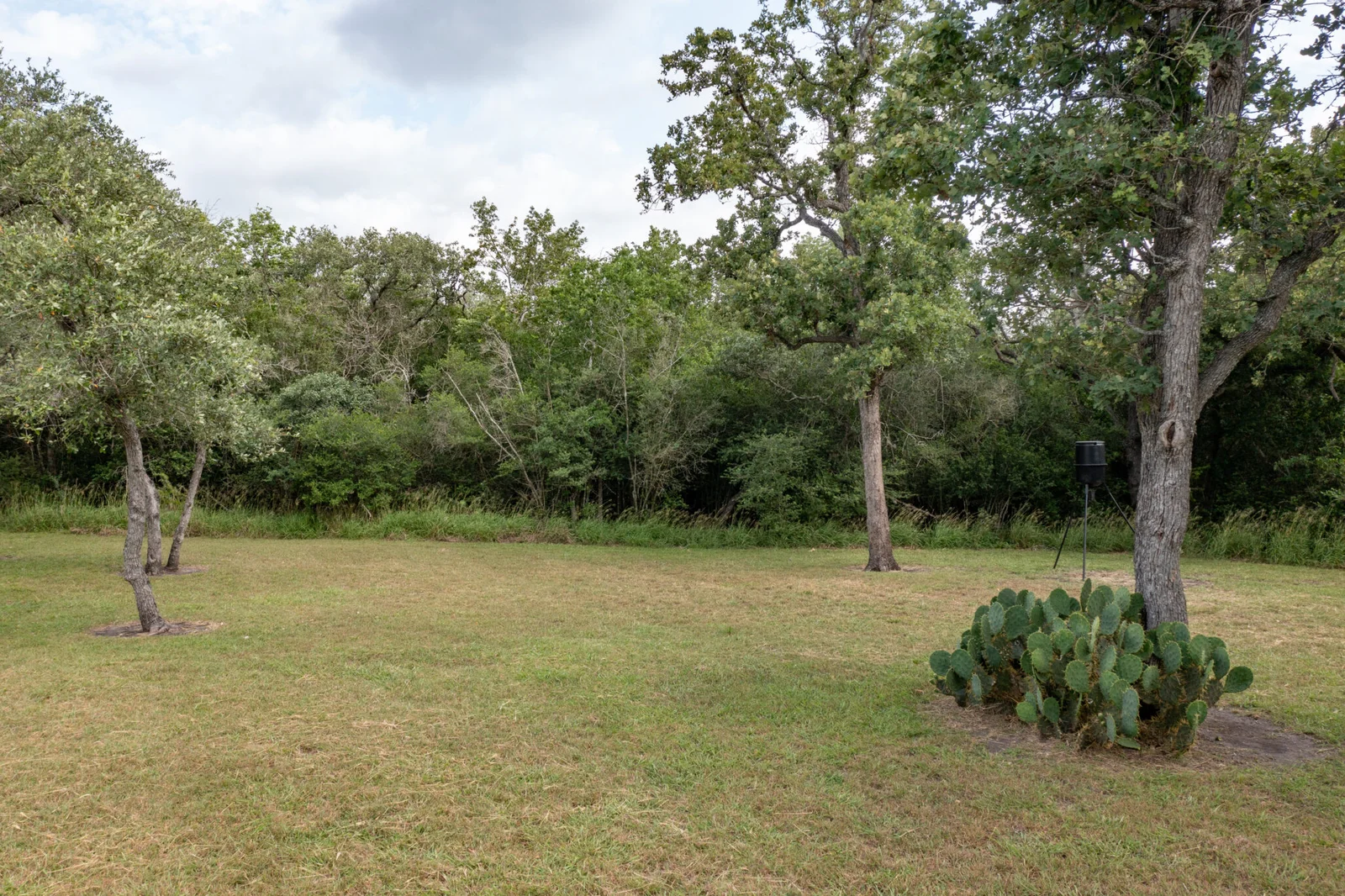 Property photo 53