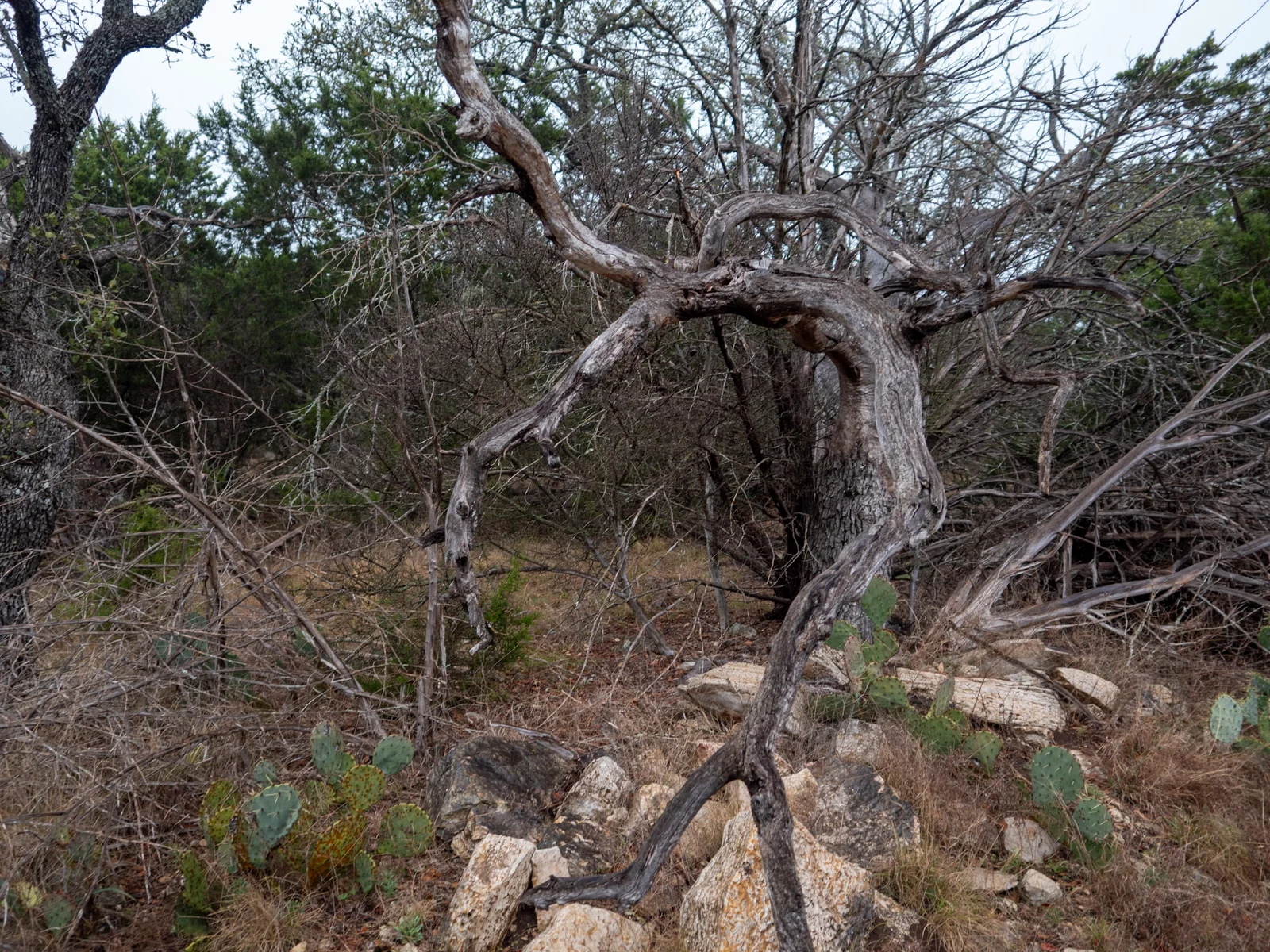 Property photo 19