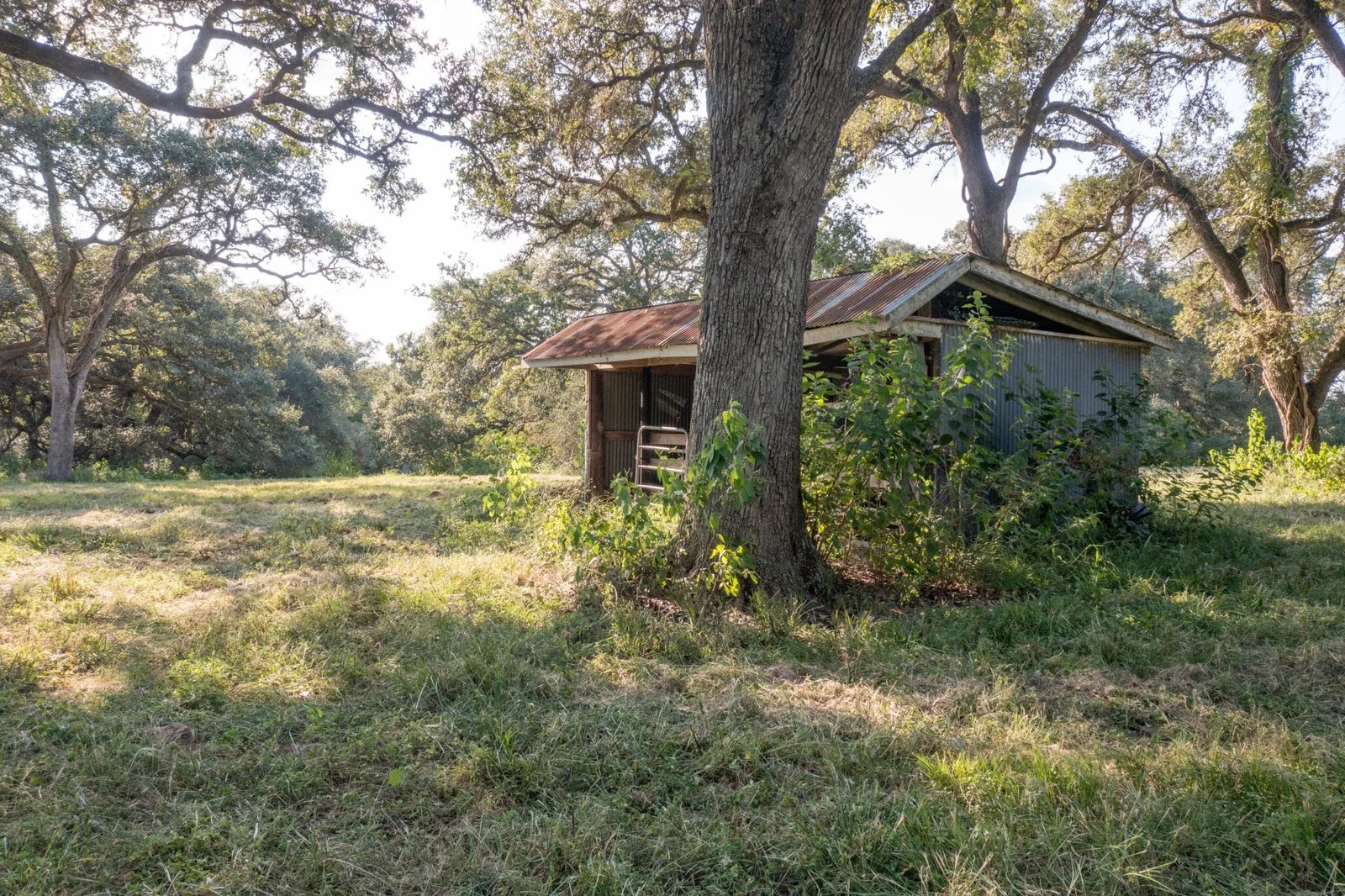 Property photo 12