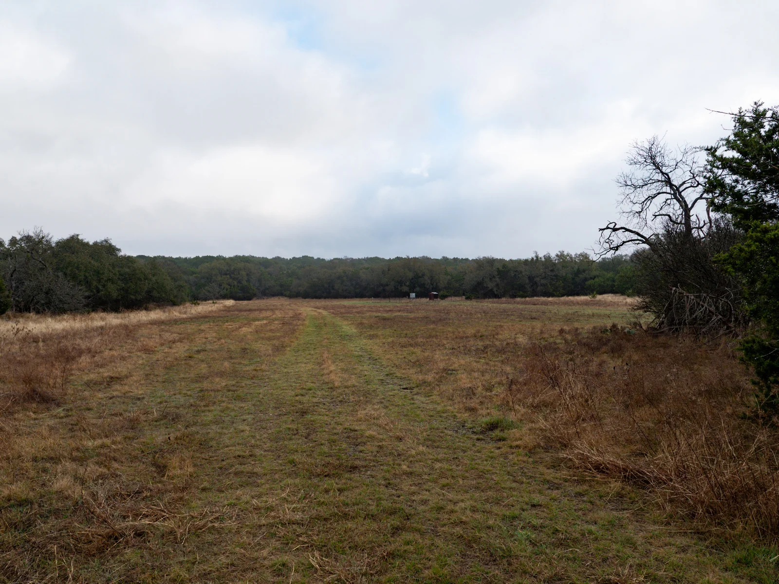 Property photo 47