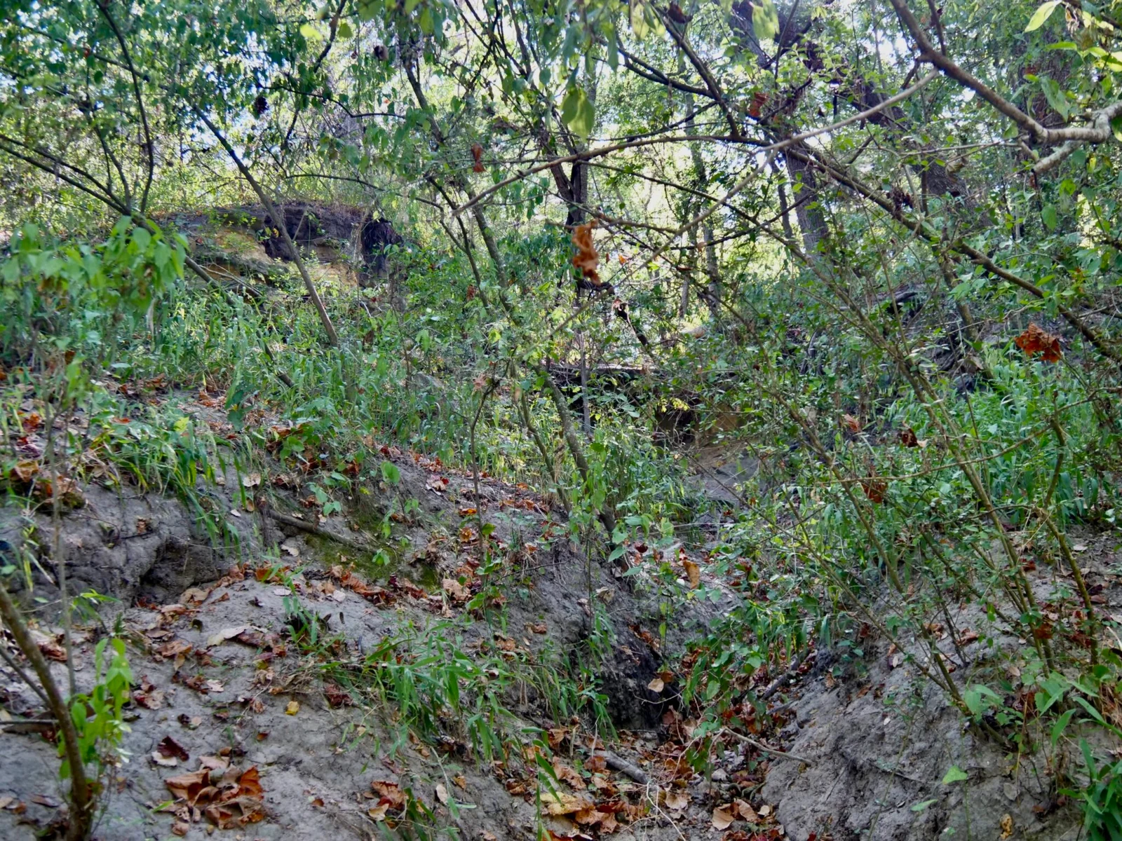Property photo 41