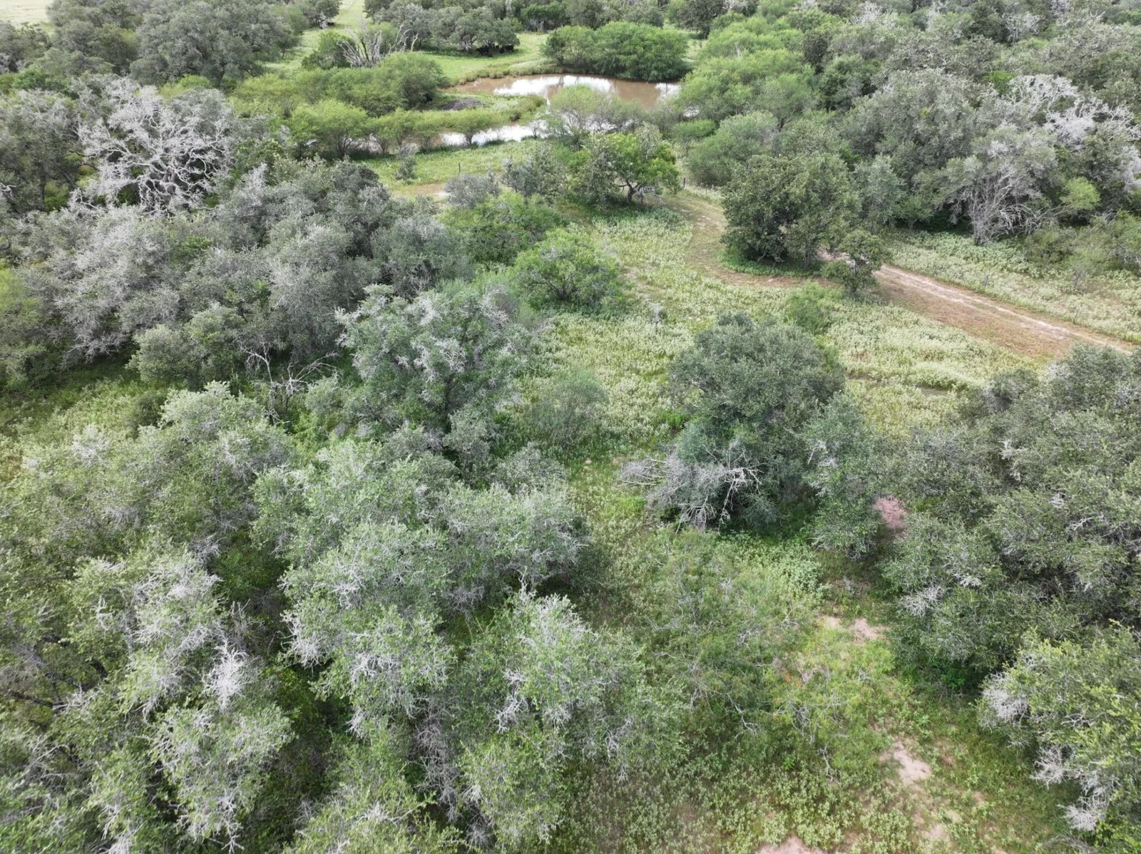 Property photo 26