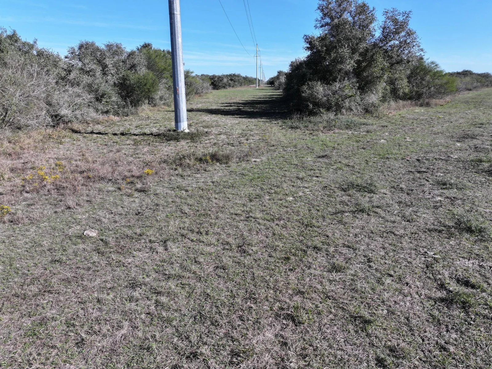Property photo 23