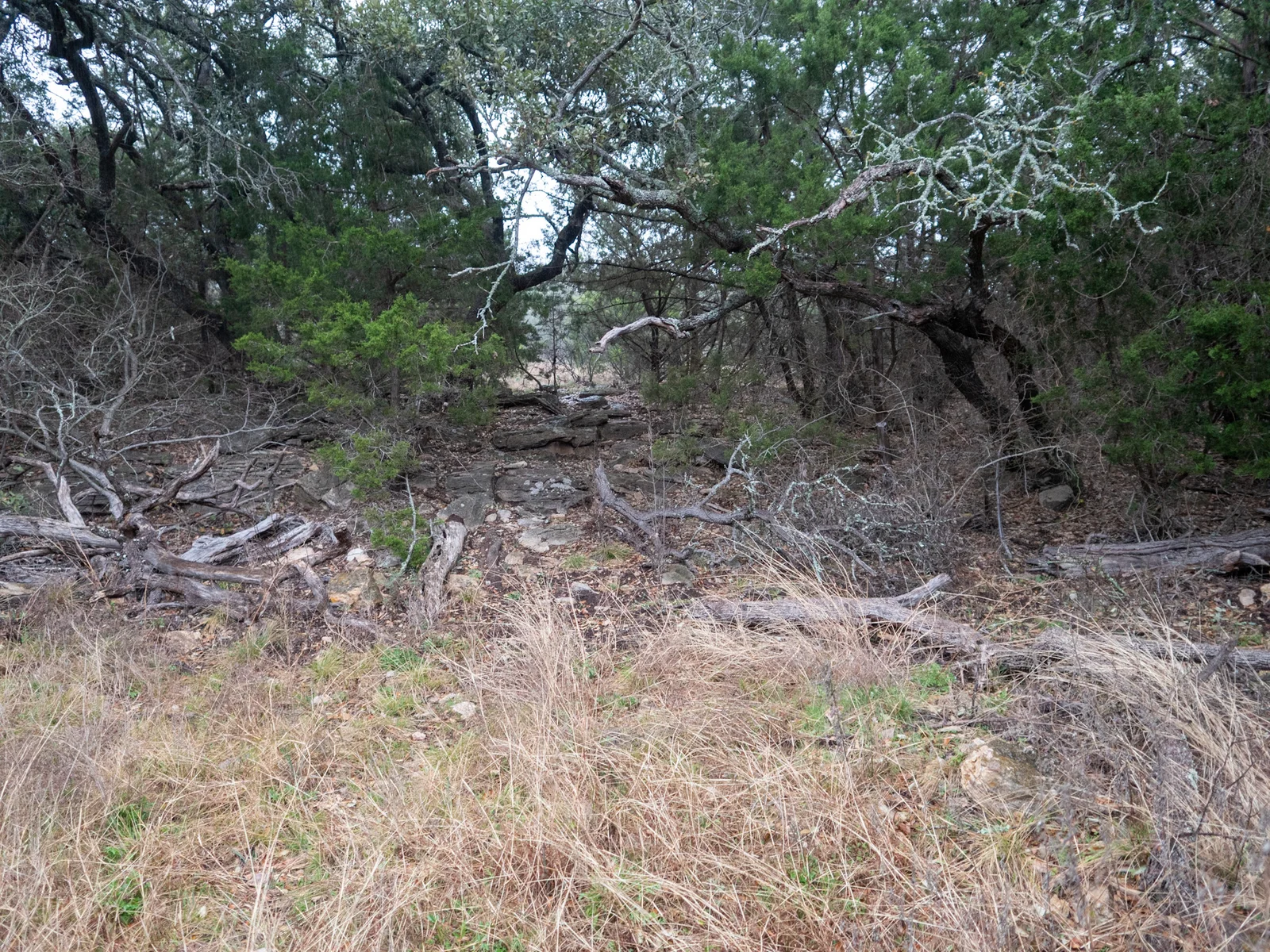 Property photo 18