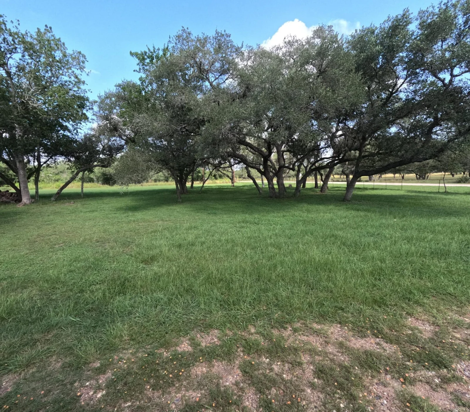 Property photo 24