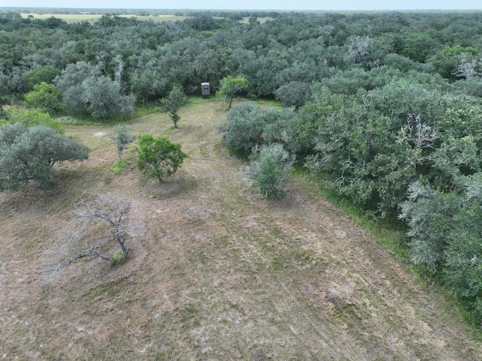 Property photo 23