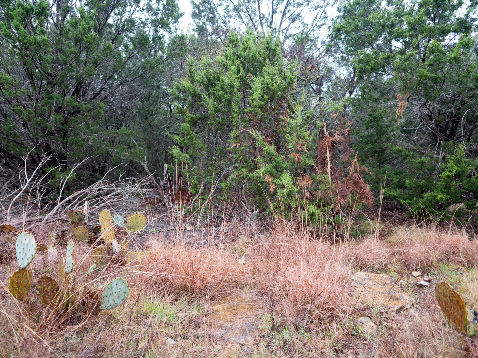 Property photo 30