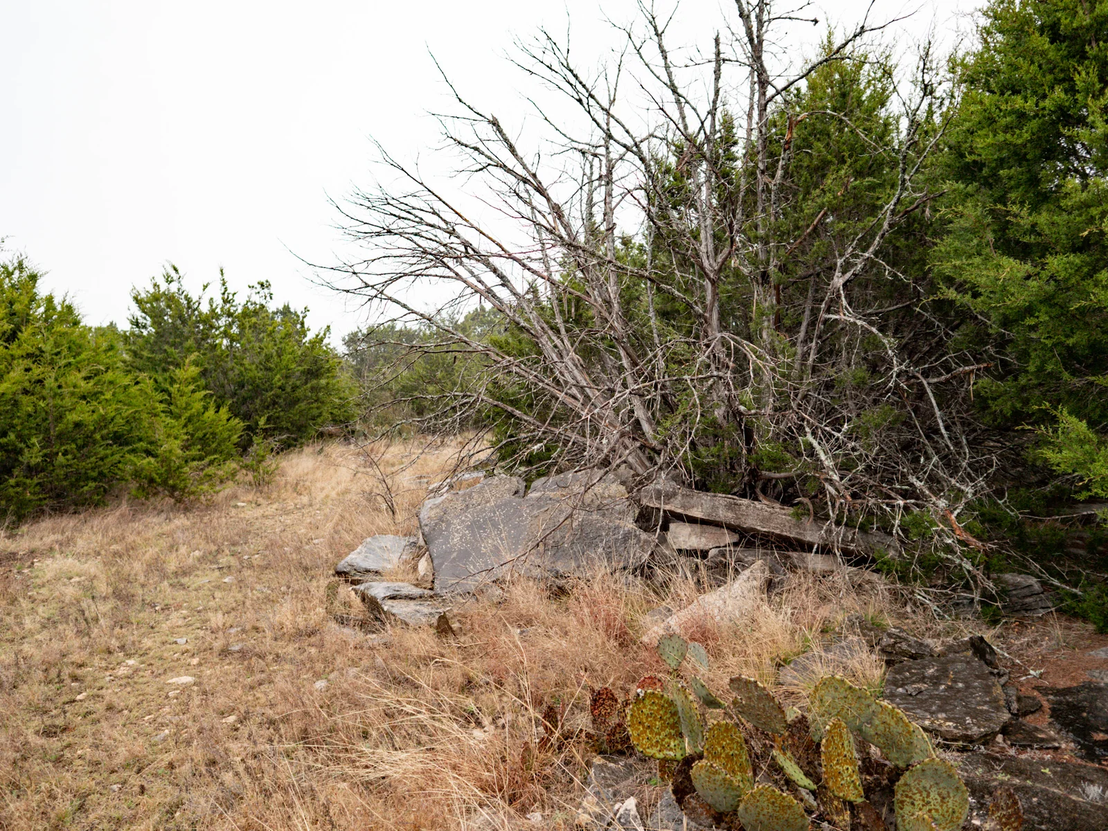 Property photo 21