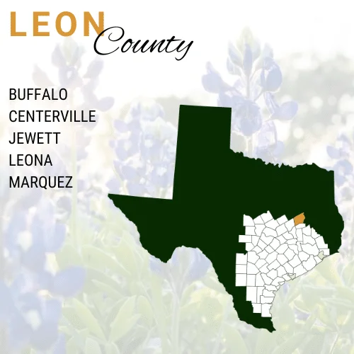 Leon County Cities