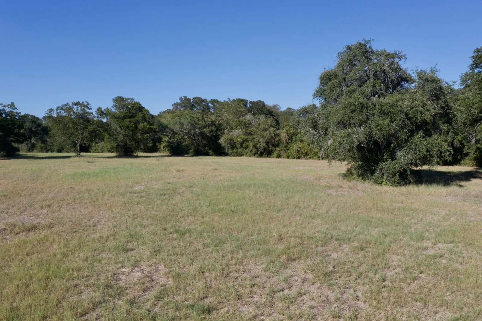 Property photo 47