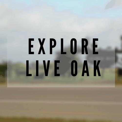 Live Oak County Homes For Sale West Three Rivers