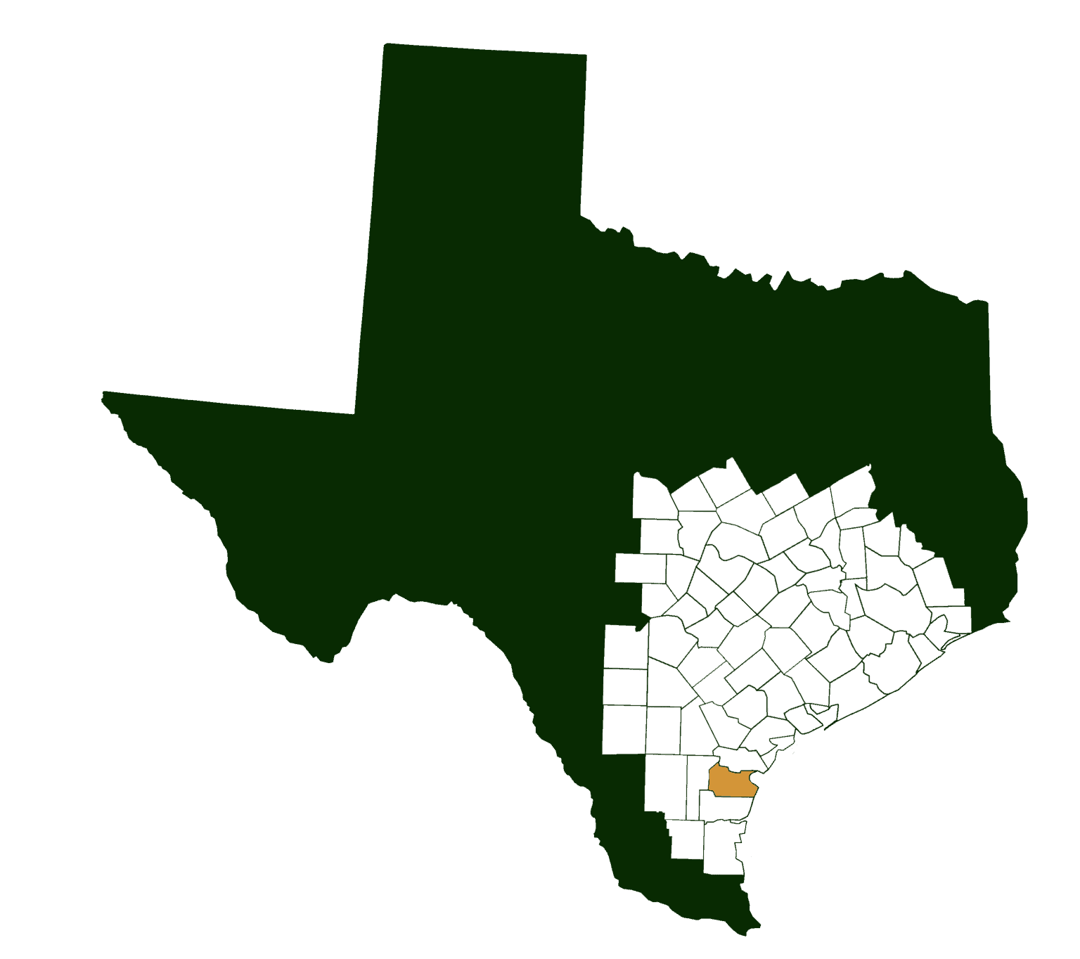 Nueces County Real Estate Homes Ranches Land 0963