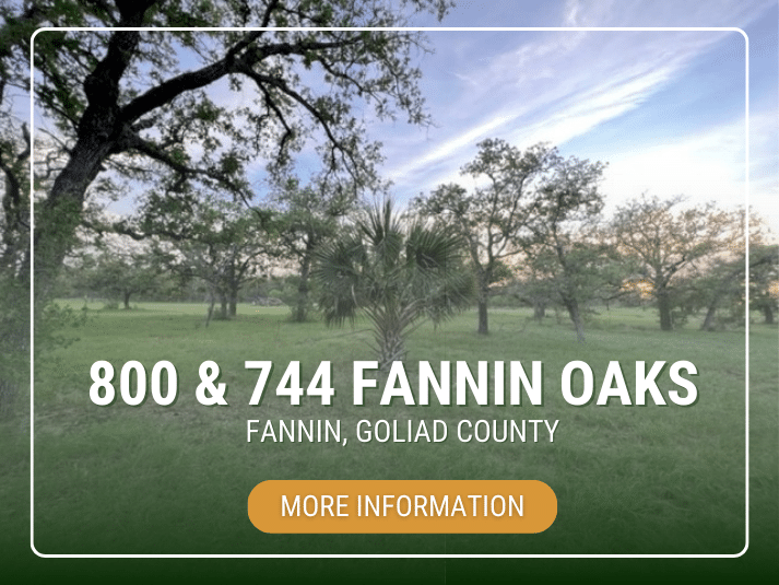 A serene image of the 800 & 744 Fannin Oaks properties in Fannin, Goliad County, with a "More Information" button.