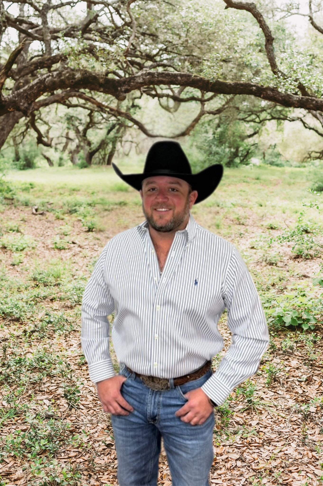 Ethan-trees